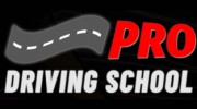 Professional Driving School